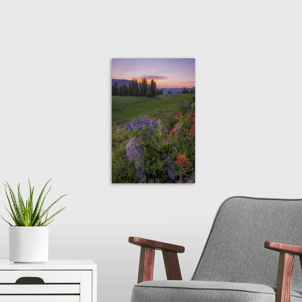 A modern room featuring A photograph of a wildflower meadow under a sunset sky.