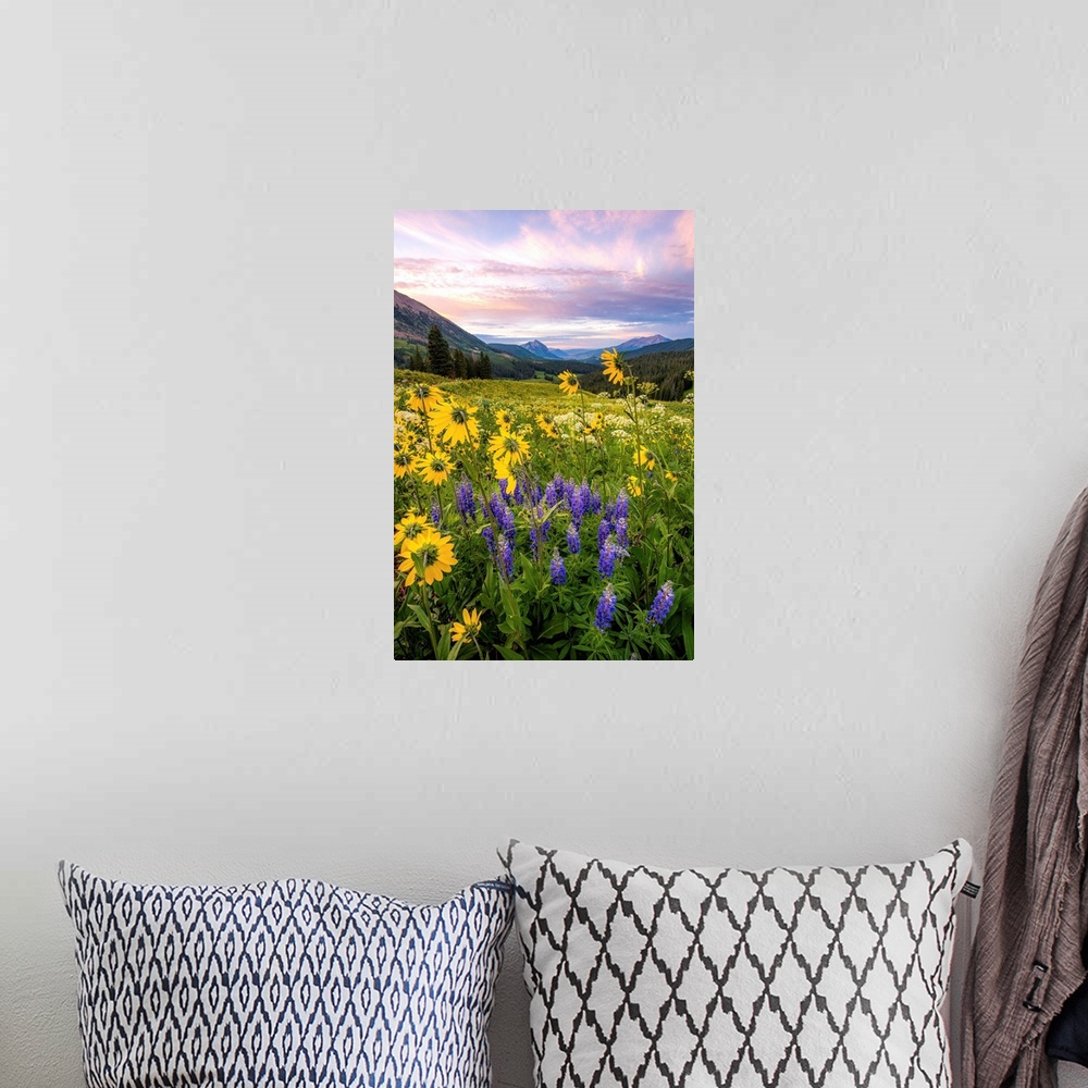 A bohemian room featuring Landscape photograph of a filed full of wildflowers leading to mountains in the distance with a p...