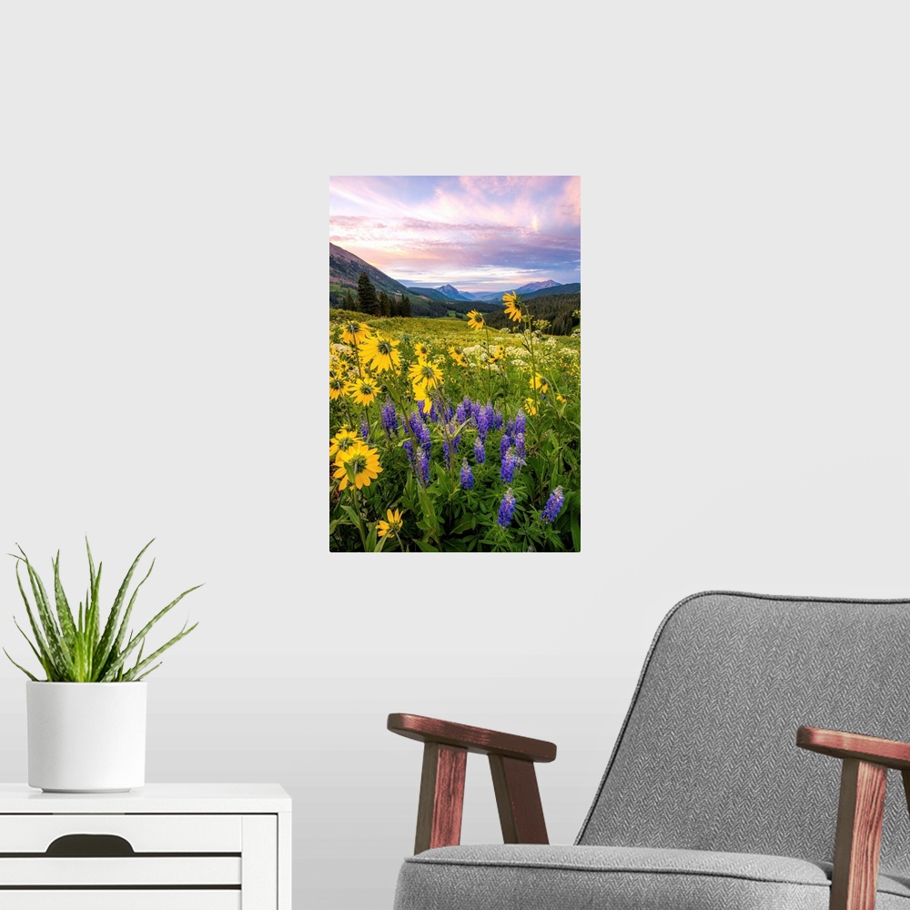 A modern room featuring Landscape photograph of a filed full of wildflowers leading to mountains in the distance with a p...