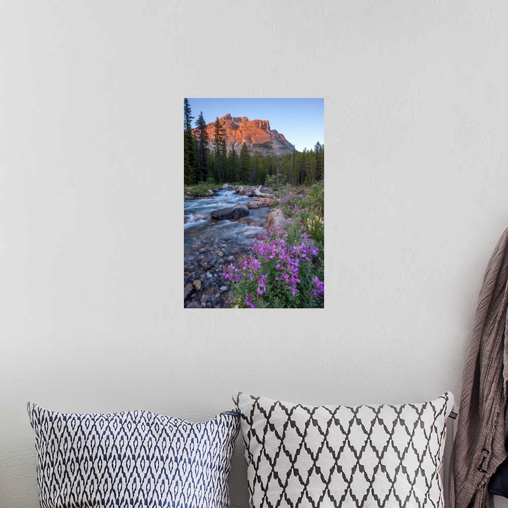 A bohemian room featuring Landscape photograph of a flowing river with wildflowers lining it and mountains in the distance.