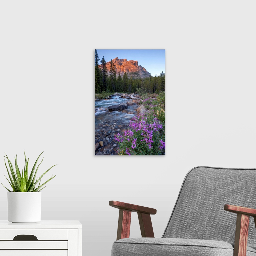 A modern room featuring Landscape photograph of a flowing river with wildflowers lining it and mountains in the distance.