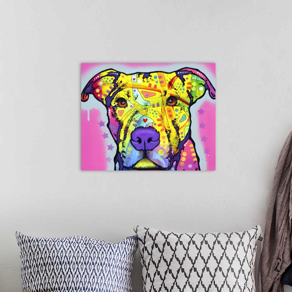 A bohemian room featuring Pit Bull, Dog