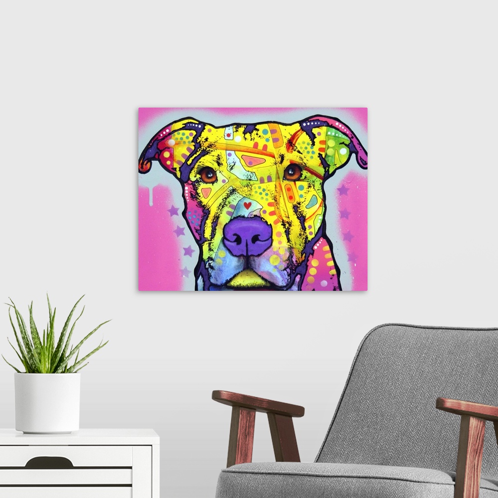 A modern room featuring Pit Bull, Dog