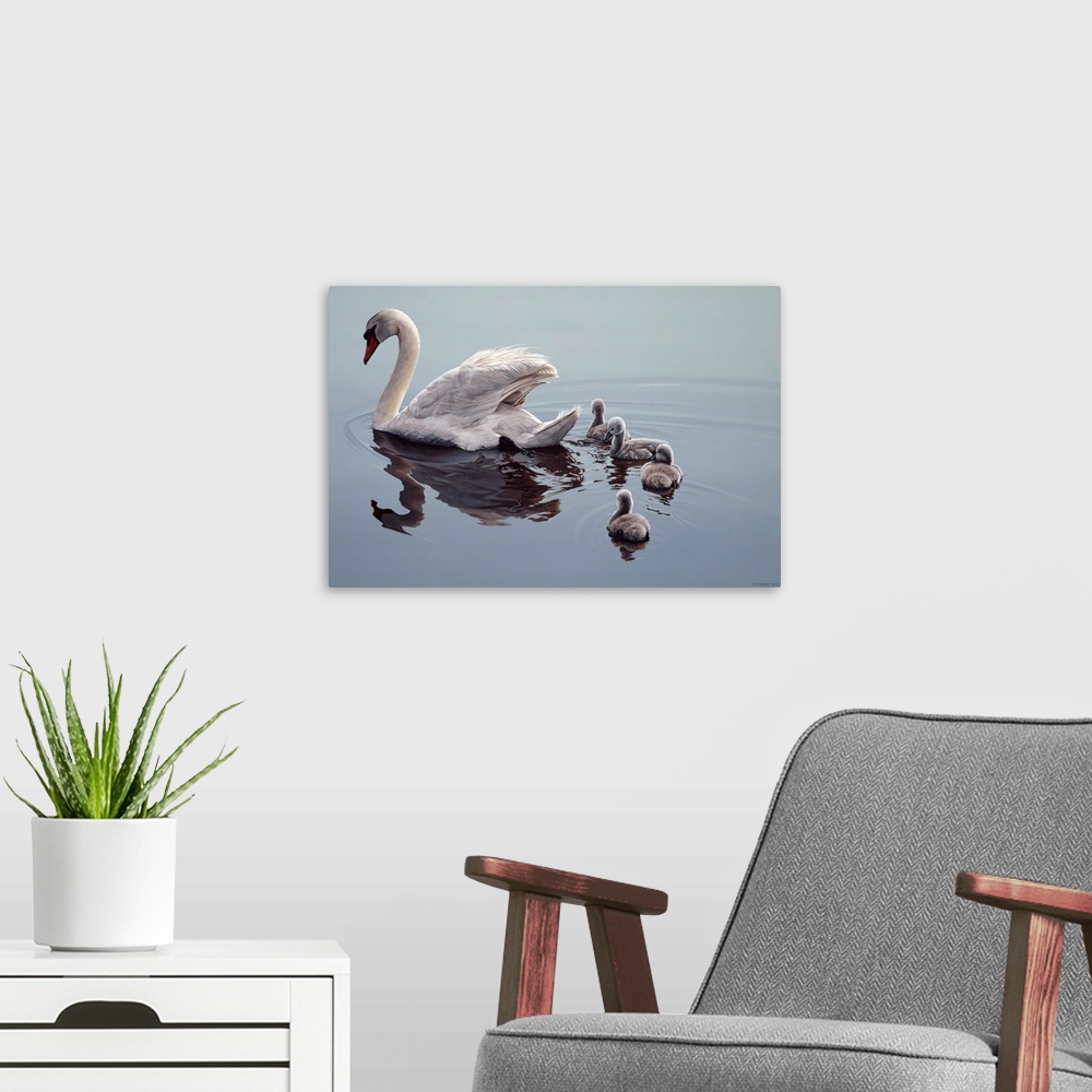 A modern room featuring A swan and her four babies (cygnets) swimming.