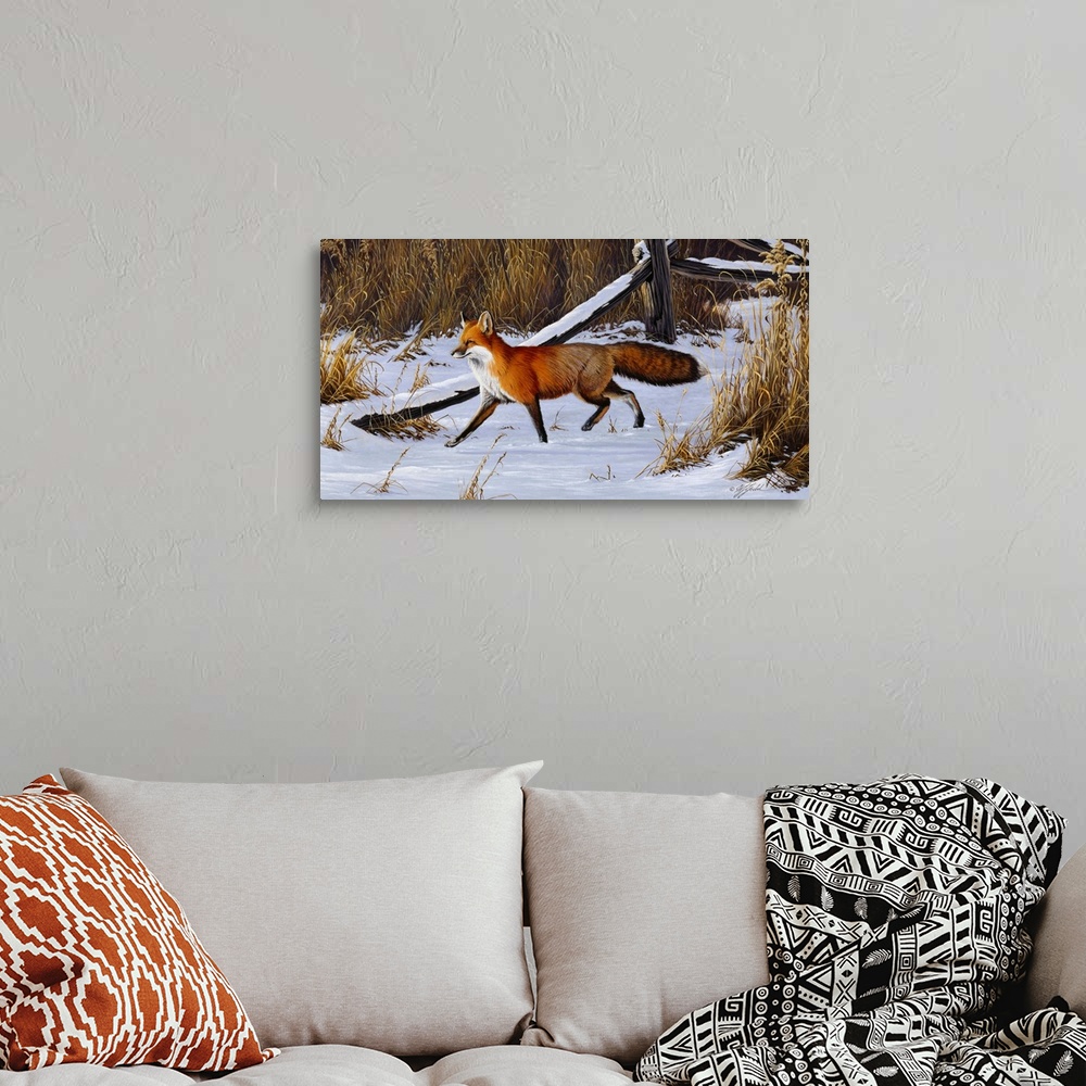 A bohemian room featuring Red fox walking through a snowy field.