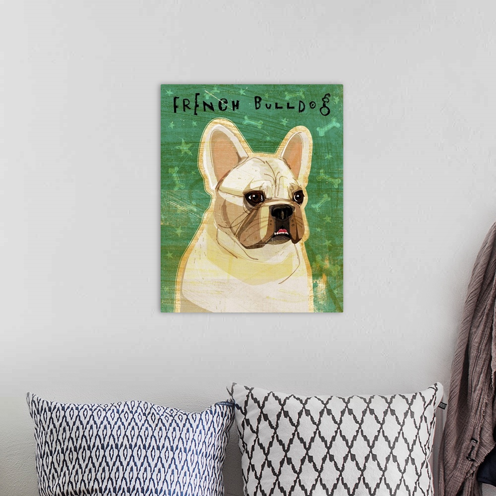 A bohemian room featuring French Bulldog - White