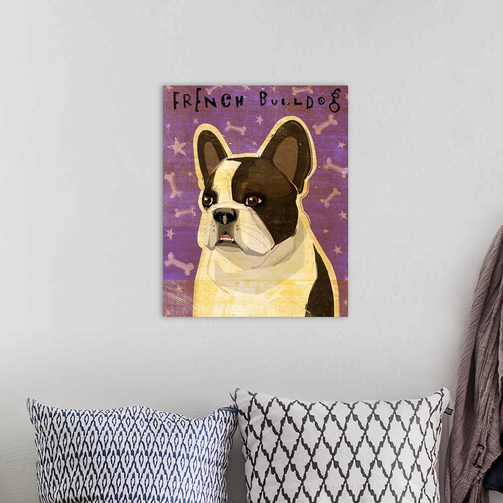 A bohemian room featuring French Bulldog - Whiten Brindle