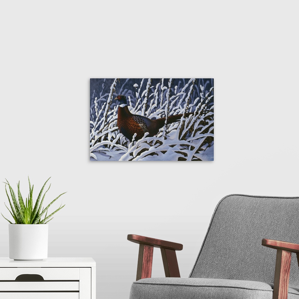 A modern room featuring A pheasant walking through a snow covered grassy field.