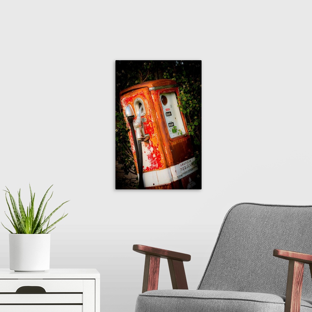 A modern room featuring Photograph of a vintage gas pump surrounded by green foliage.