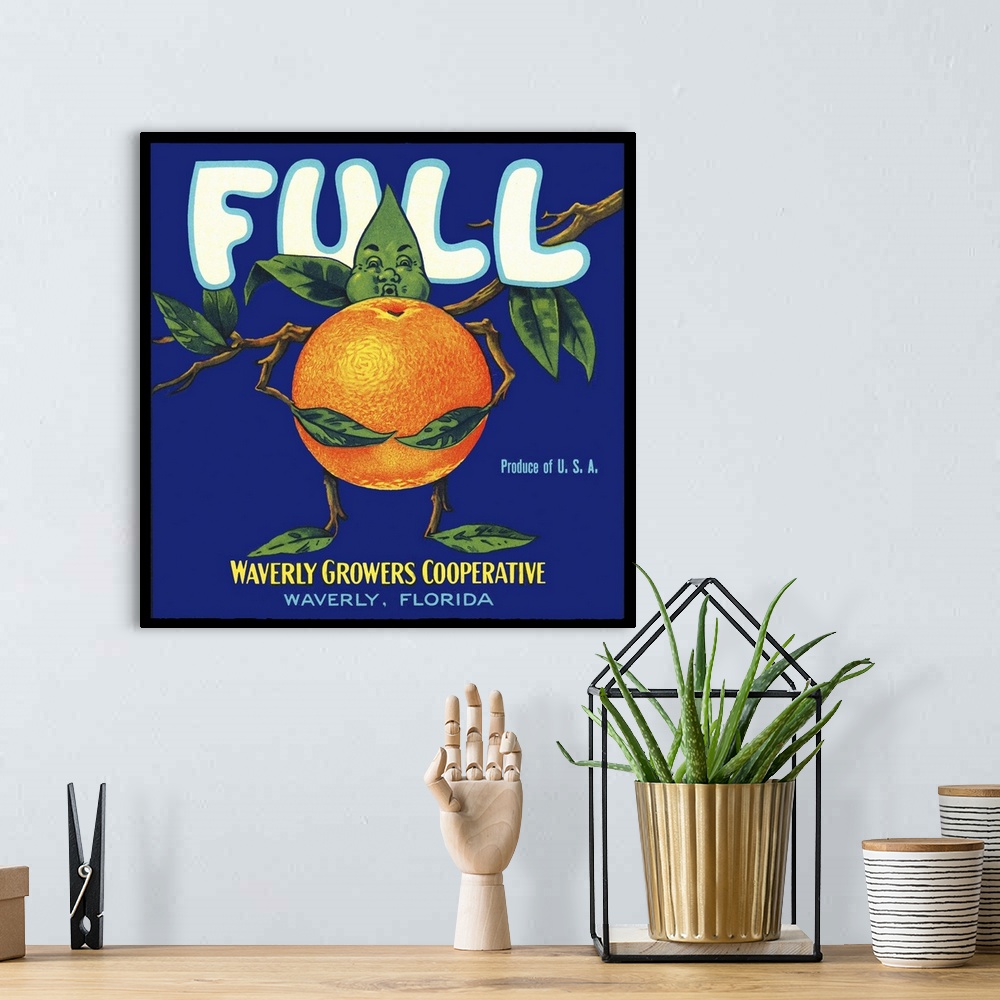 A bohemian room featuring Full Florida Citrus