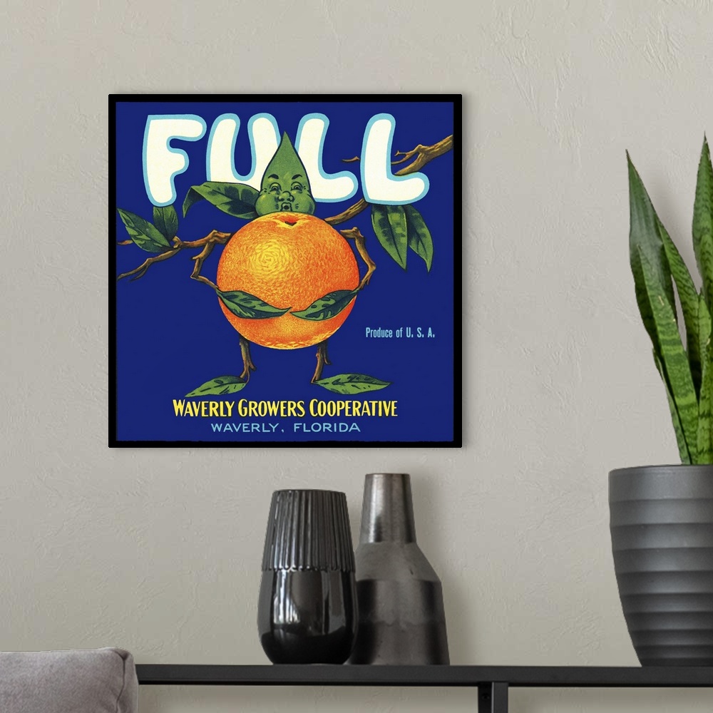A modern room featuring Full Florida Citrus