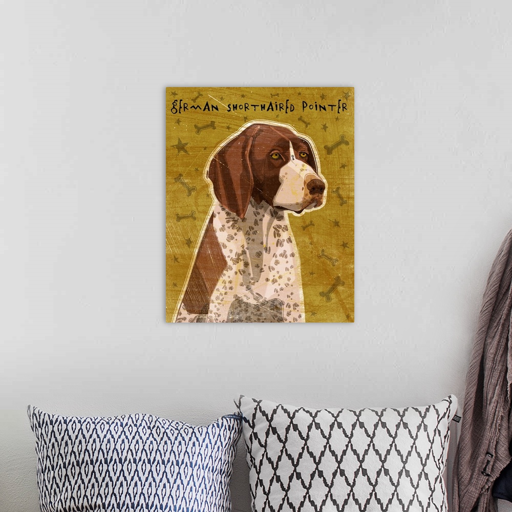 A bohemian room featuring German Shorthaired Pointer