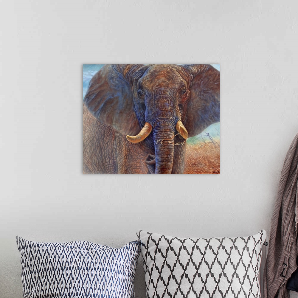 A bohemian room featuring Elephant