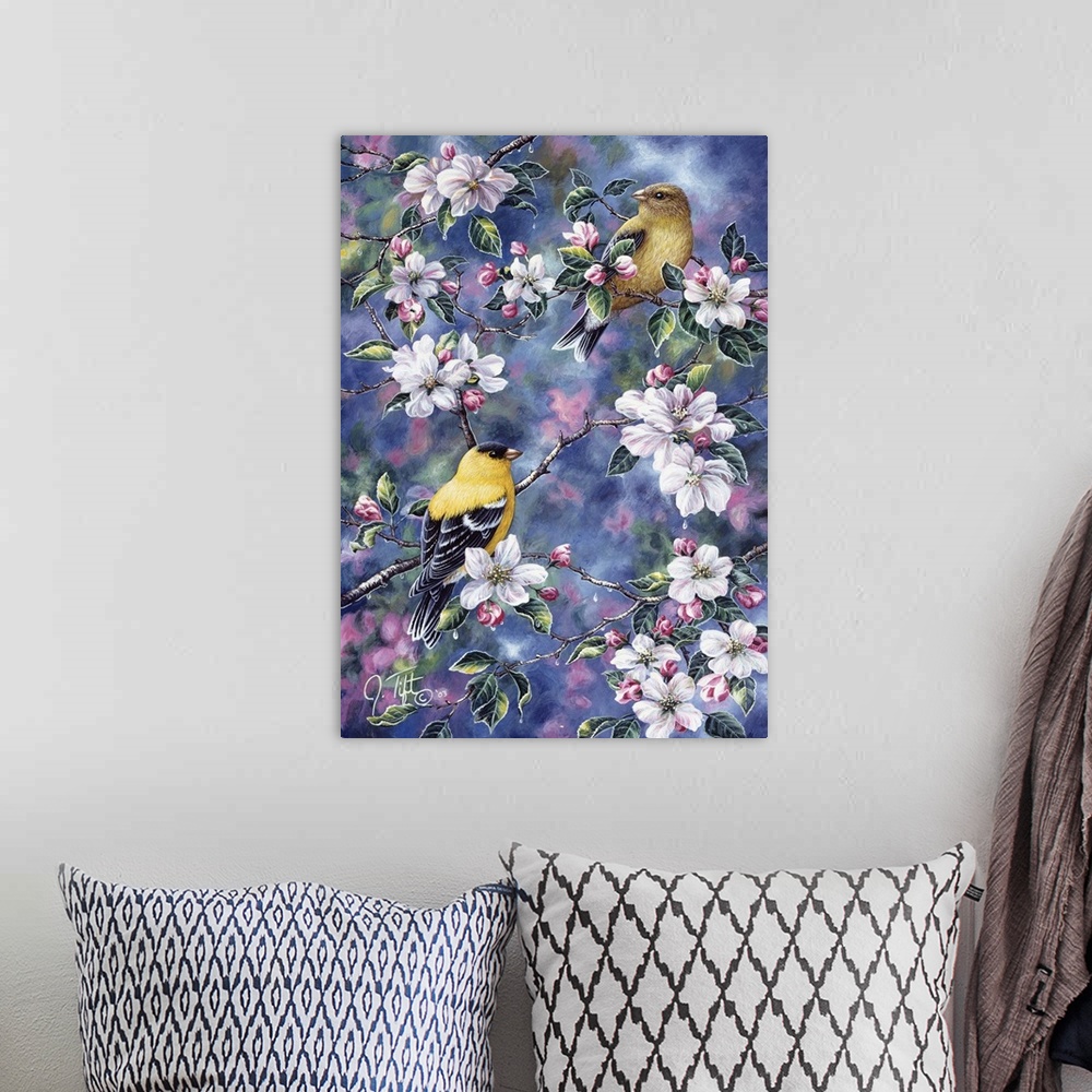 A bohemian room featuring two goldfinch sitting in apple tree in blossombird spring