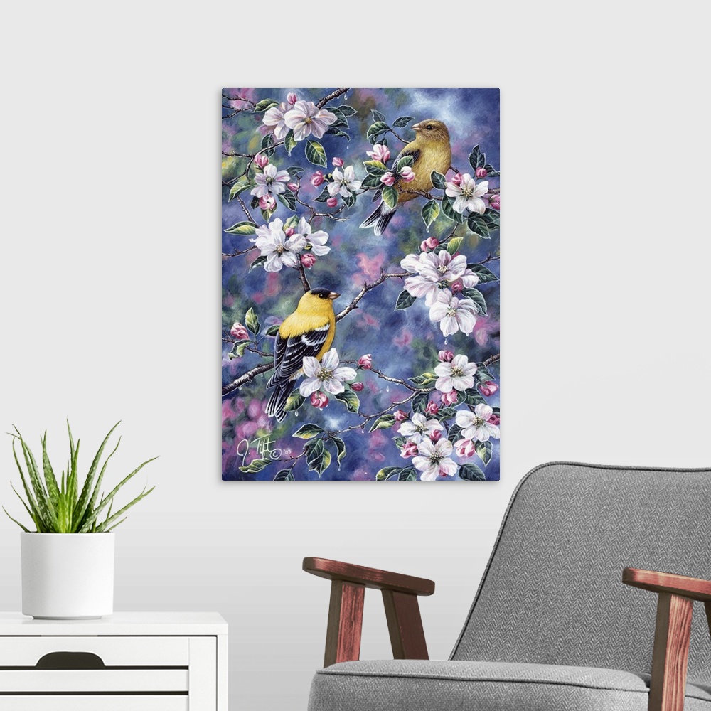 A modern room featuring two goldfinch sitting in apple tree in blossombird spring