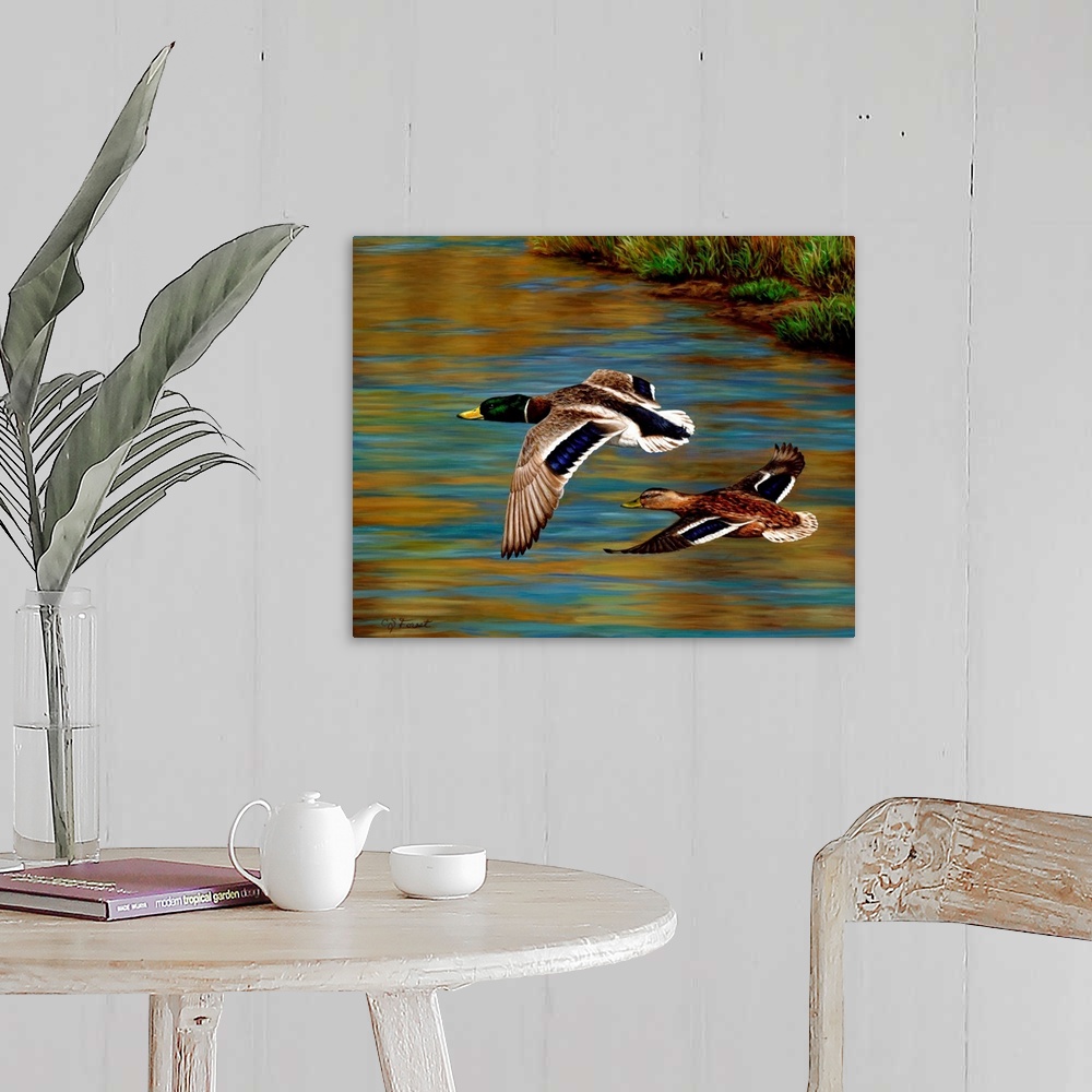 A farmhouse room featuring Two ducks flying over the water