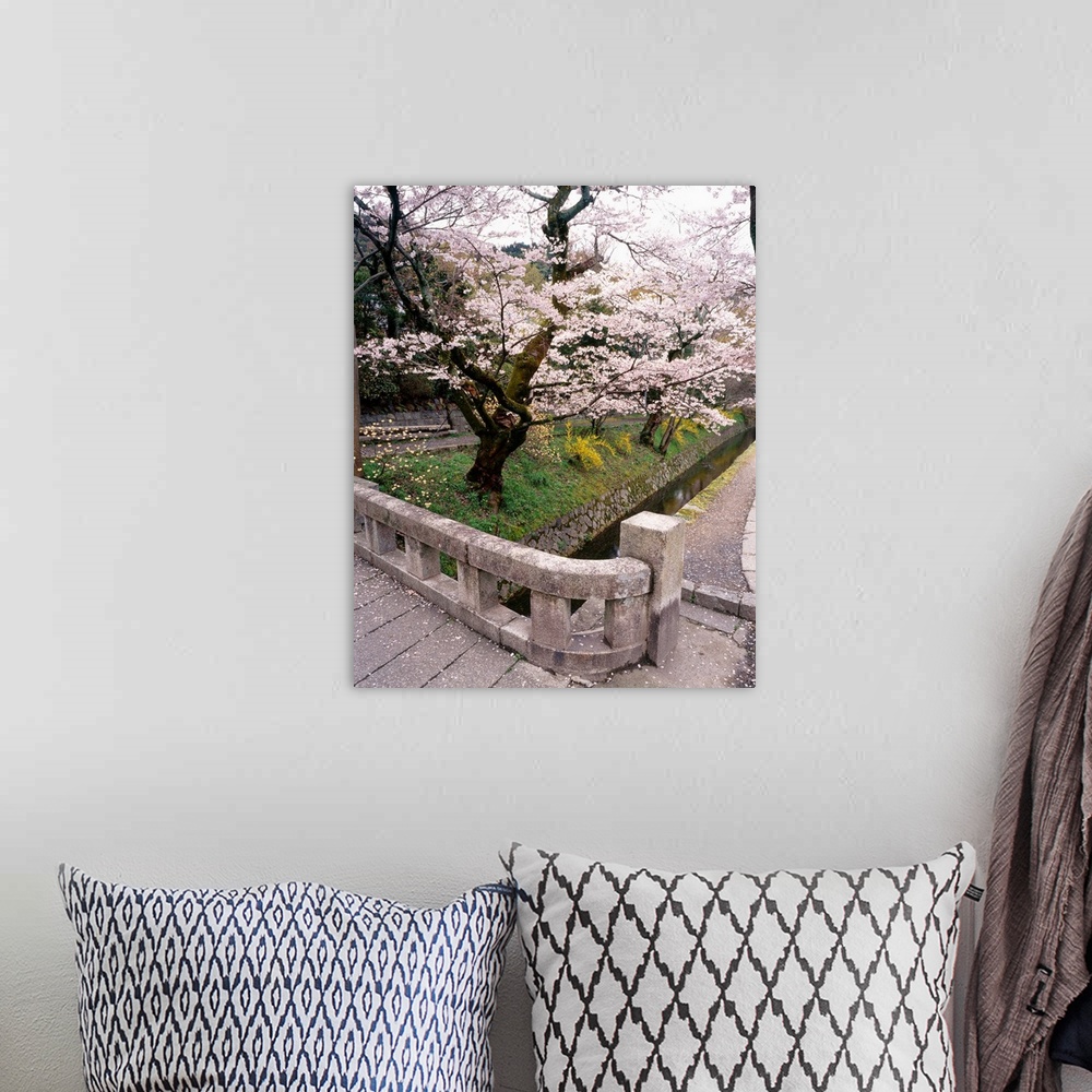 A bohemian room featuring Photograph of a Japanese garden with cherry blossom trees in bloom.