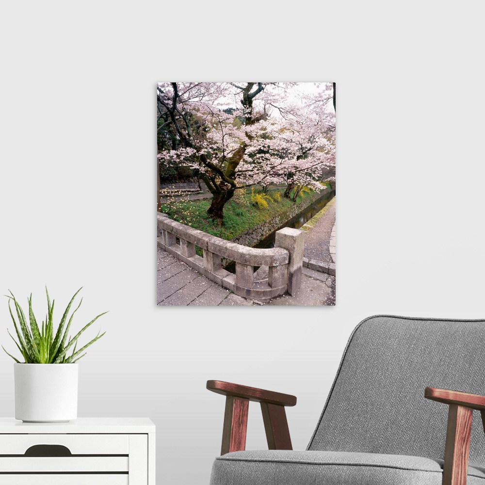 A modern room featuring Photograph of a Japanese garden with cherry blossom trees in bloom.