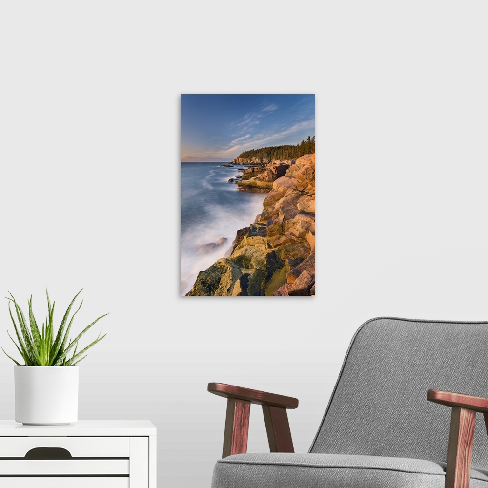 A modern room featuring Photograph of rocky coast with dense forest above.
