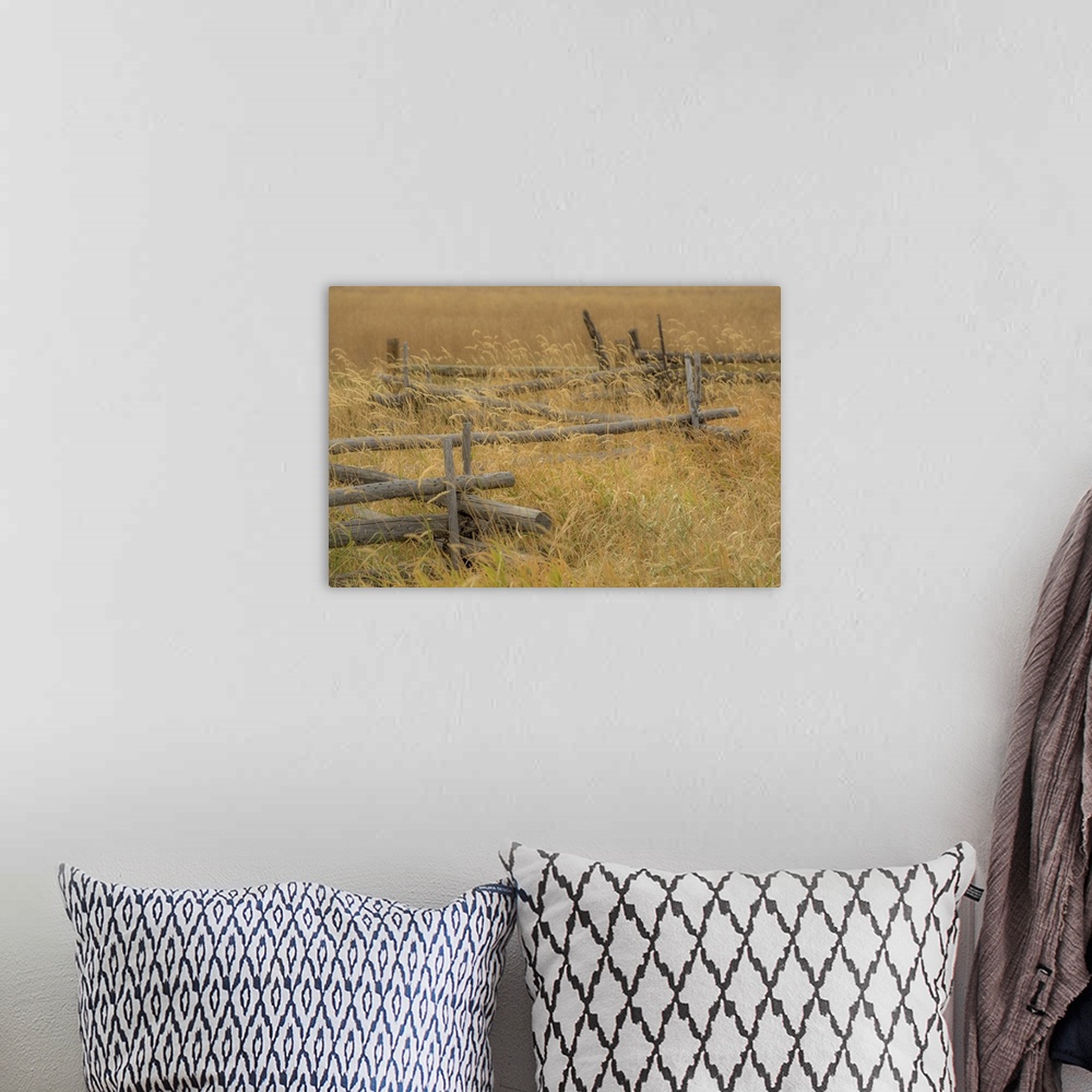 A bohemian room featuring A photograph of a fence sitting in a grassy landscape.