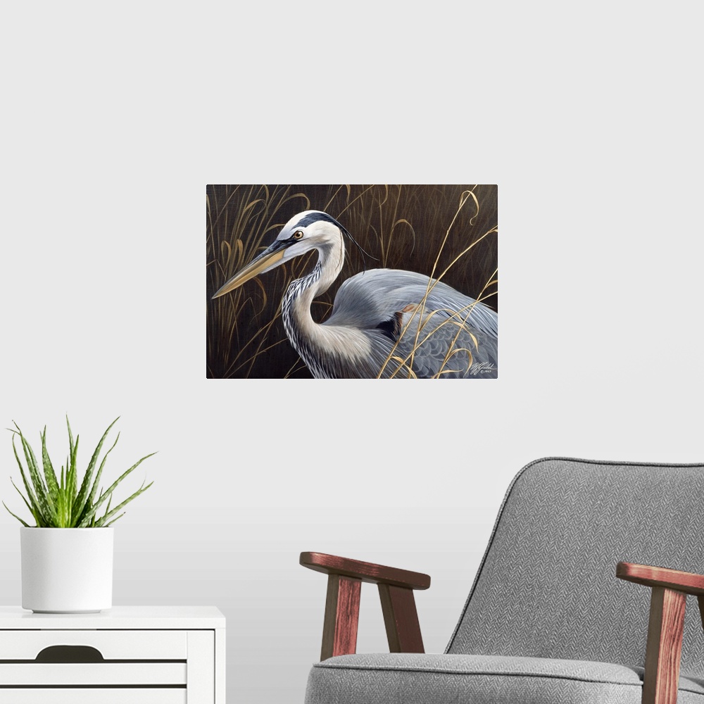 A modern room featuring Great blue heron in the grasses.