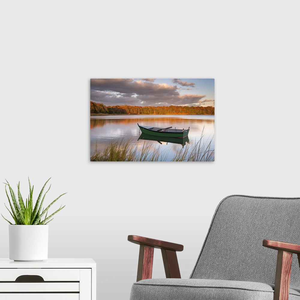A modern room featuring Photograph of a green row boat sitting on the still water of a woodland pond.