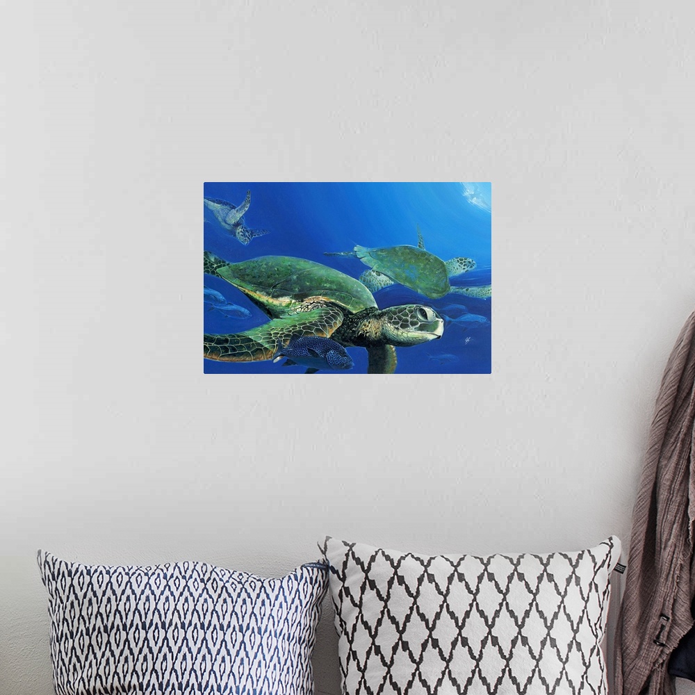 A bohemian room featuring Contemporary painting of sea turtles seen swimming under water.