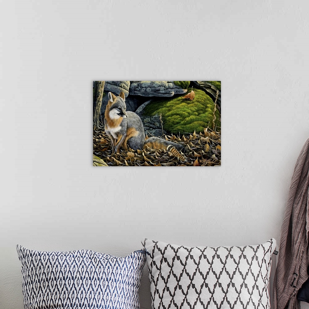 A bohemian room featuring Grey fox in fall leave next to rocks.