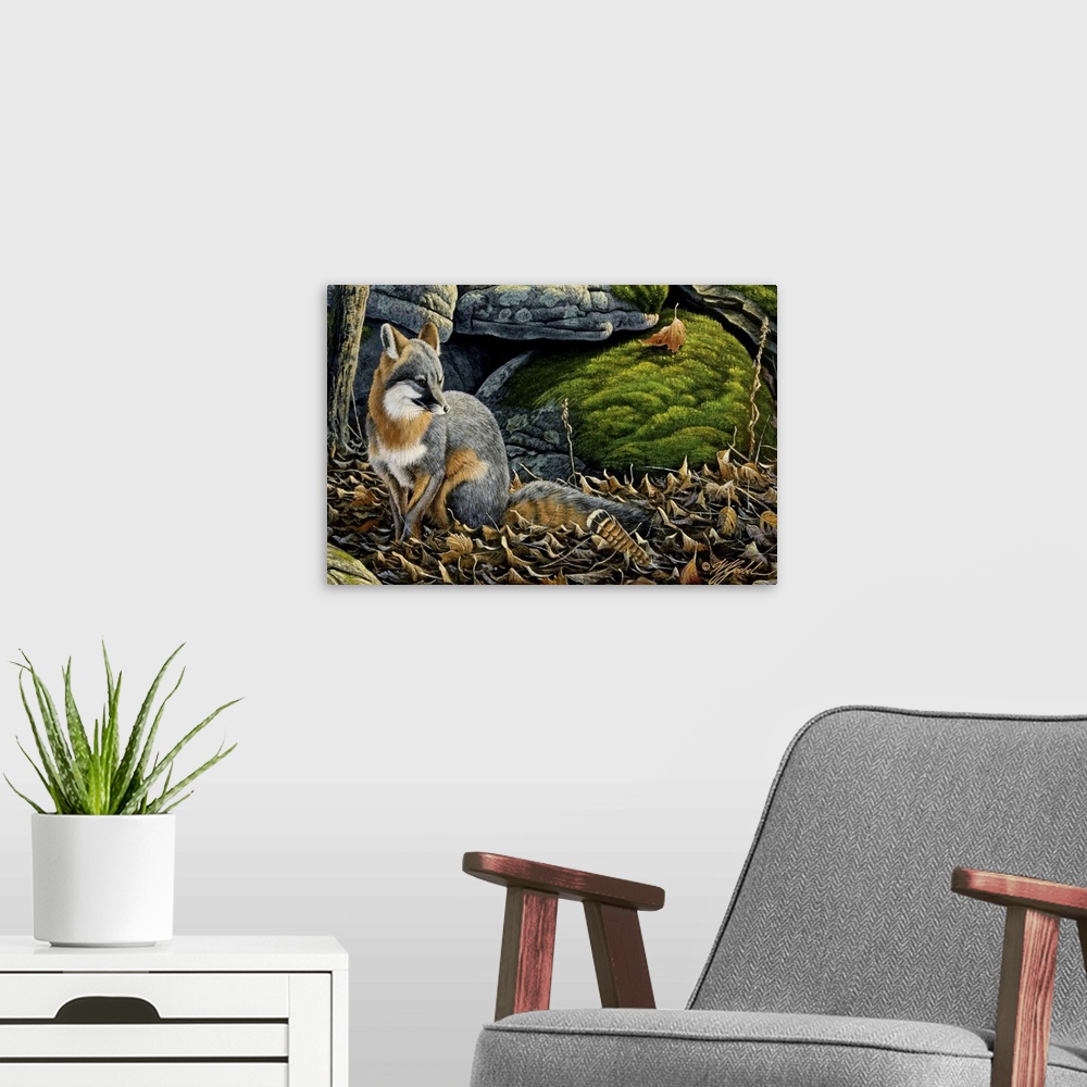 A modern room featuring Grey fox in fall leave next to rocks.