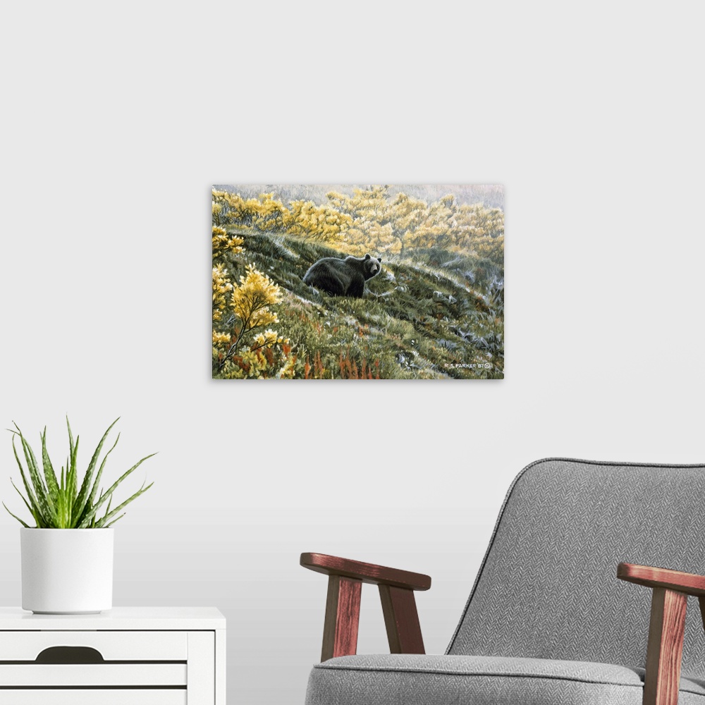 A modern room featuring A grizzly bear rests on a fall hillside.