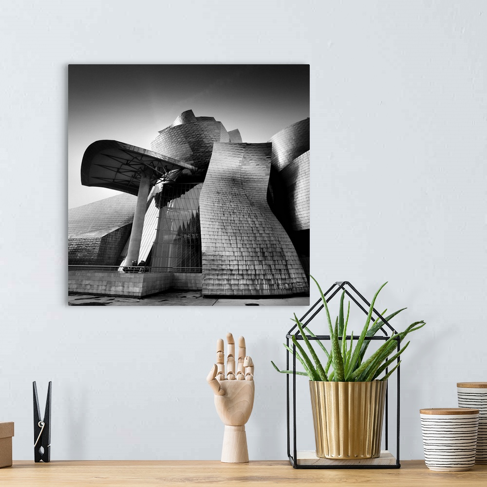 A bohemian room featuring Guggenheim Bilbao, black and white photography