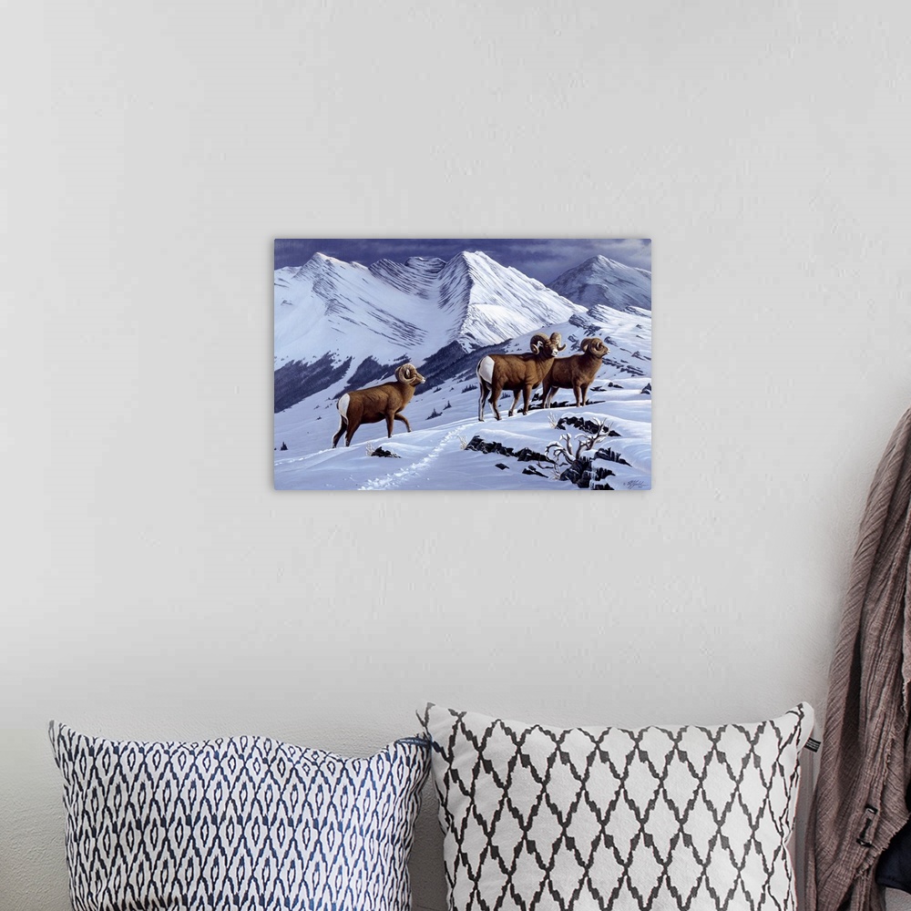 A bohemian room featuring Three wild rams in a snowy mountain landscape.