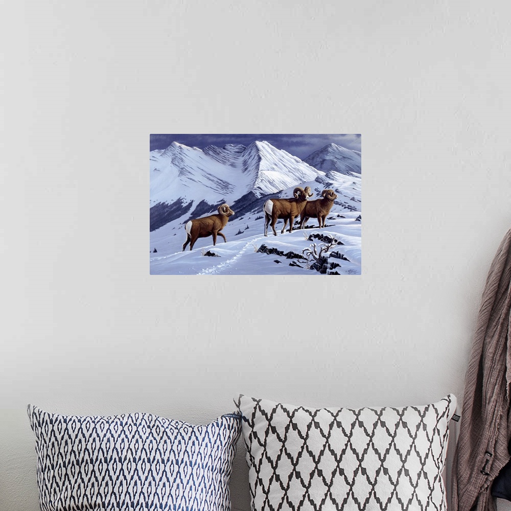 A bohemian room featuring Three wild rams in a snowy mountain landscape.
