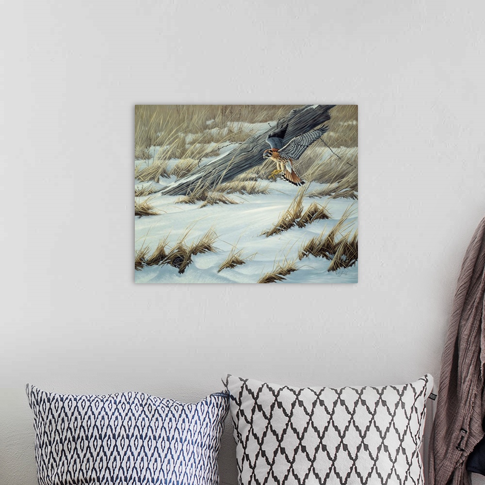 A bohemian room featuring Kestrel swooping down to the snowy ground.