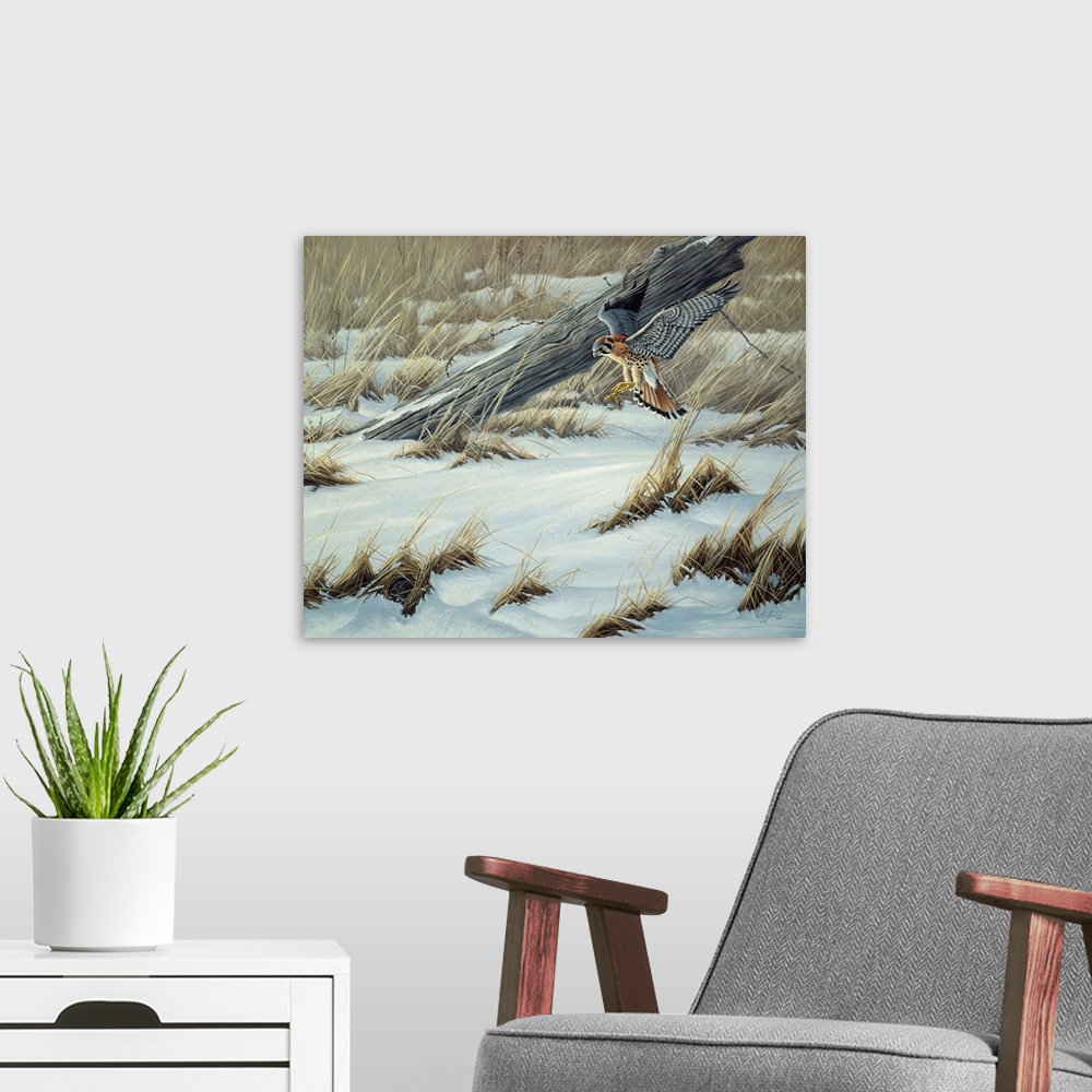 A modern room featuring Kestrel swooping down to the snowy ground.