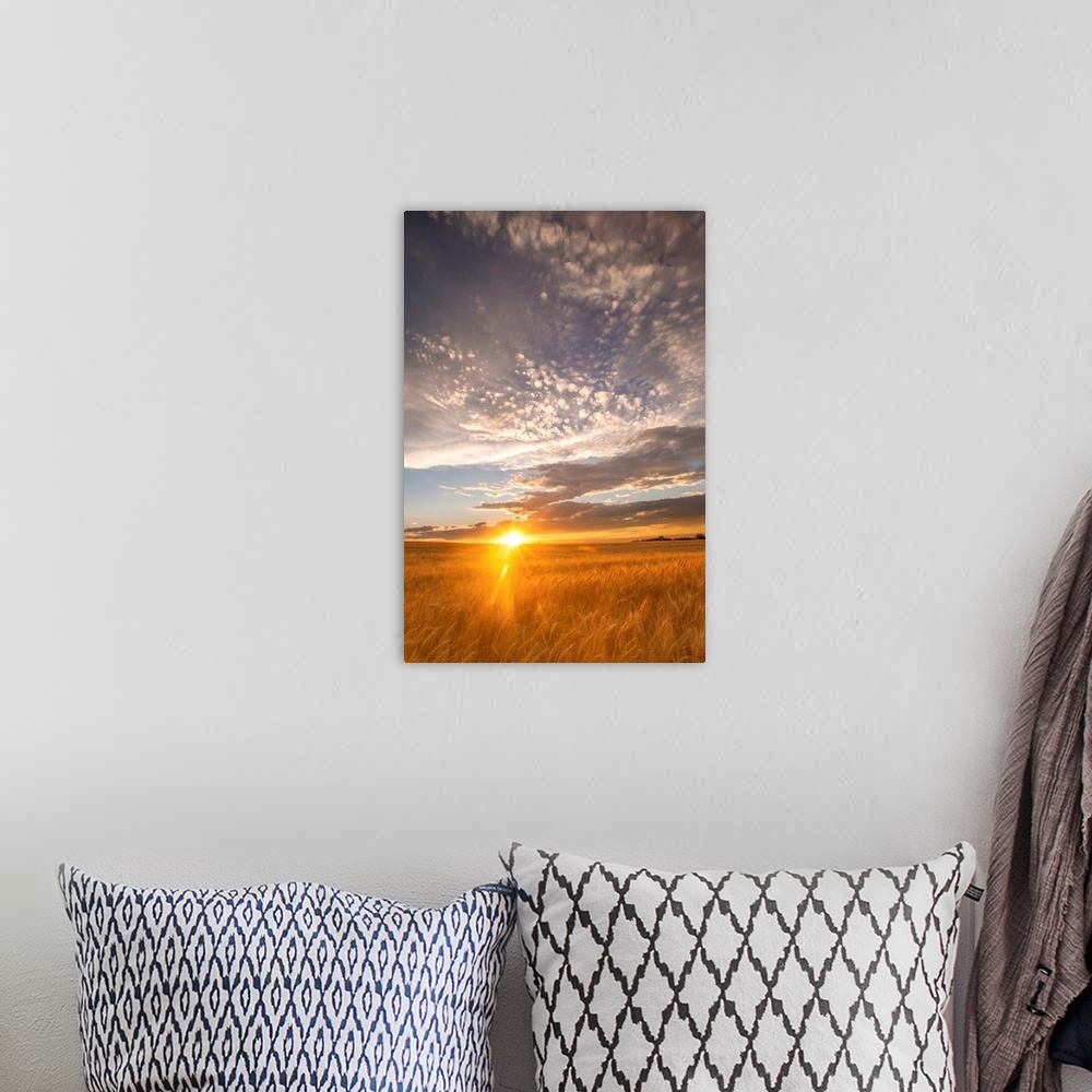A bohemian room featuring Landscape photograph of a wheat field with the sun rising on the horizon line.
