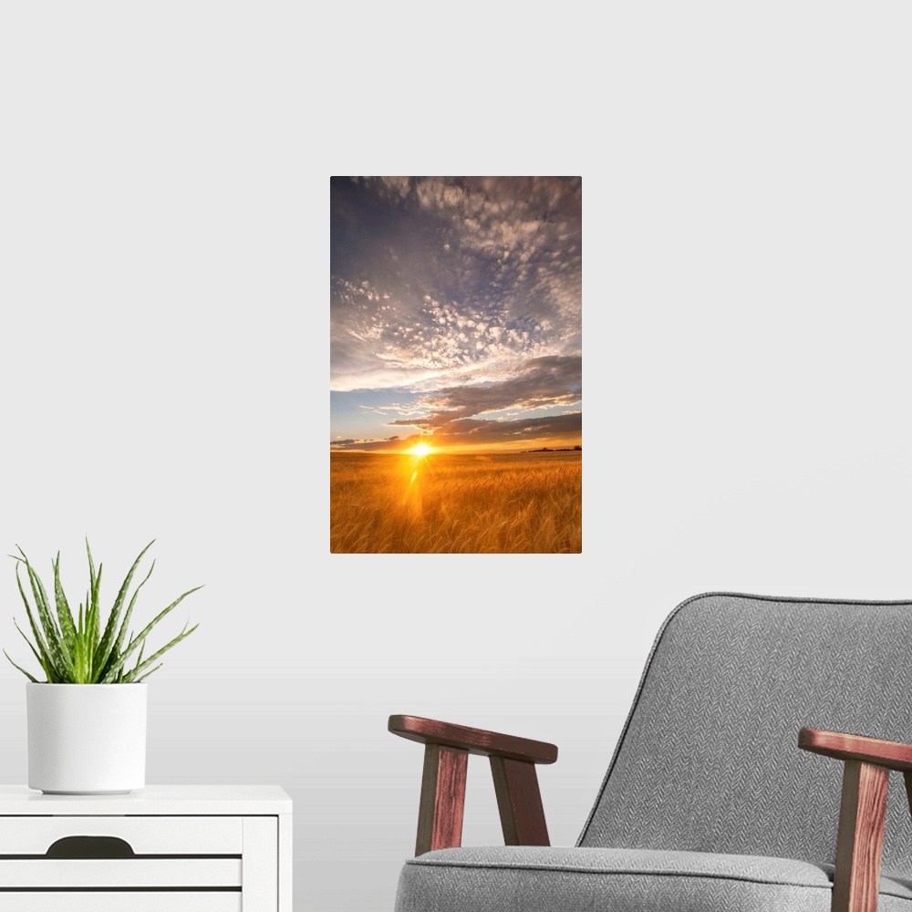 A modern room featuring Landscape photograph of a wheat field with the sun rising on the horizon line.