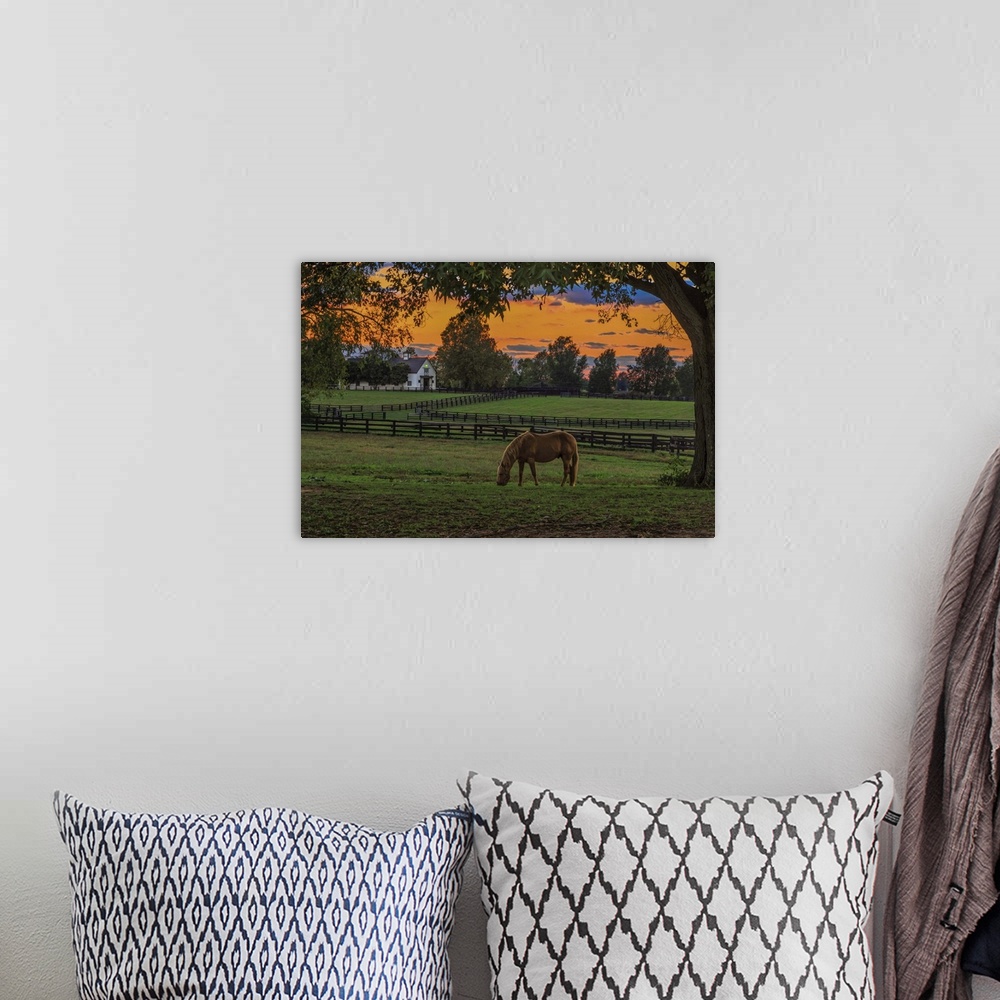 A bohemian room featuring Photograph of a horse grazing in a paddock at sunset.