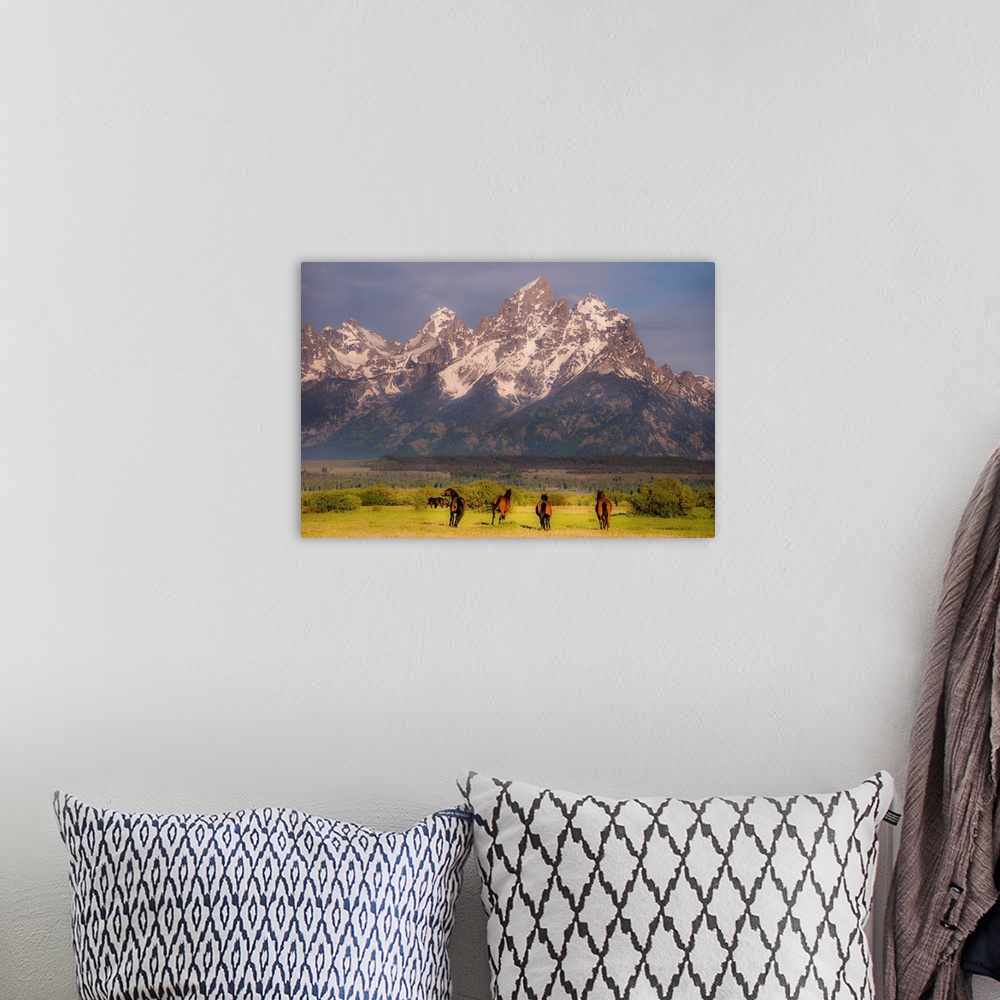 A bohemian room featuring Wildlife photograph of wild horses galloping through a valley surrounded by snowy mountain peaks.