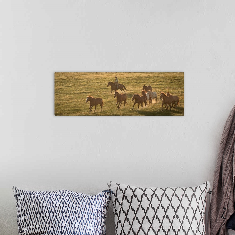 A bohemian room featuring Photograph of a cowgirl on horseback herding horses through a field.