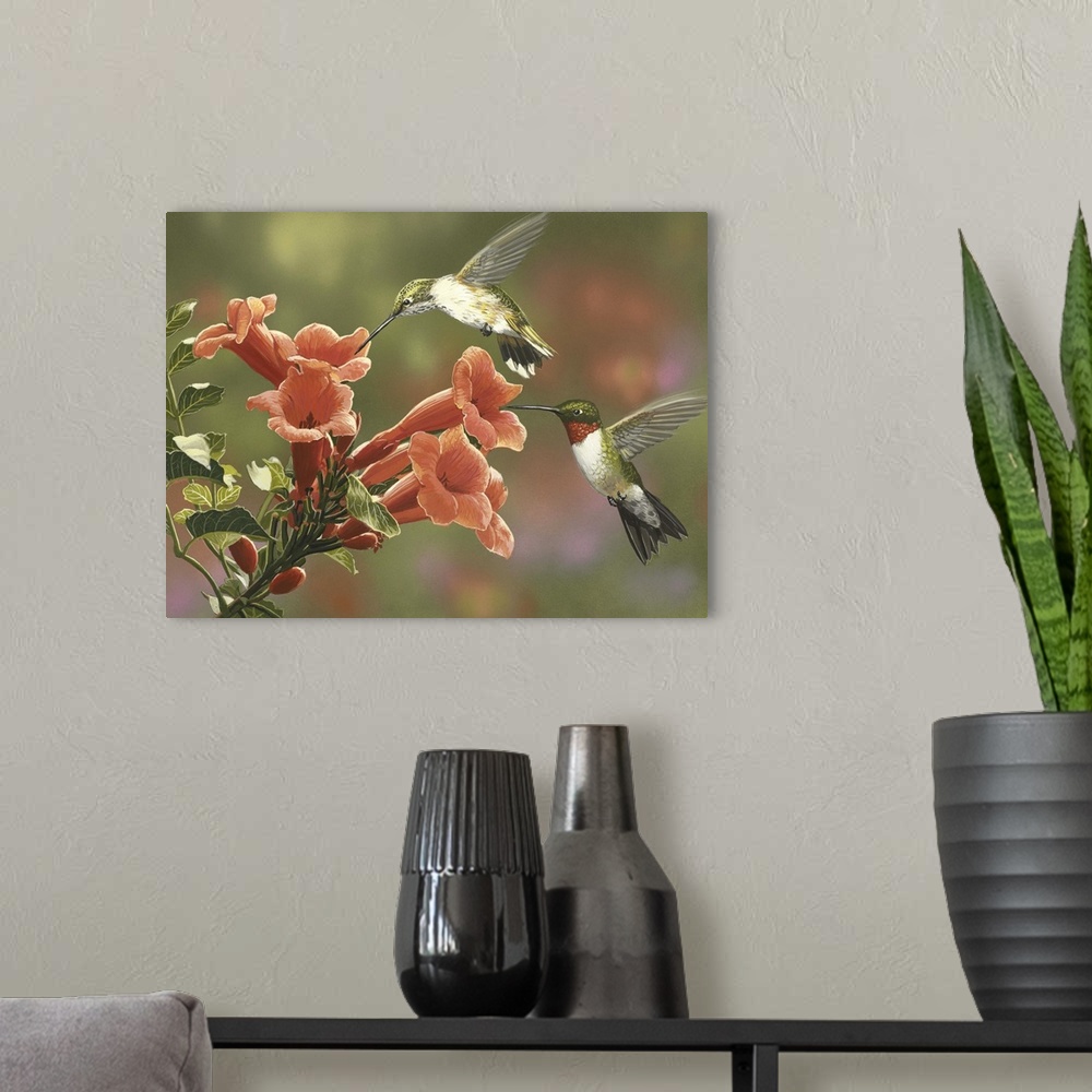 A modern room featuring Hummingbirds and Trumpet Flowers