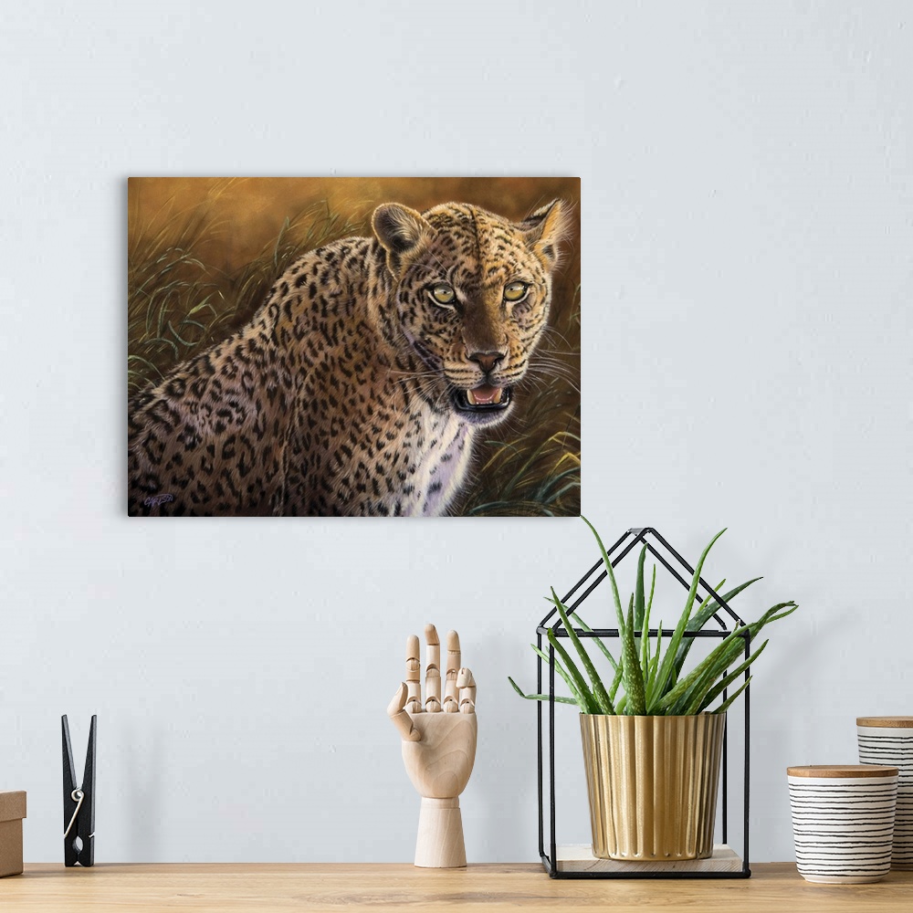 A bohemian room featuring leopard on the prowl