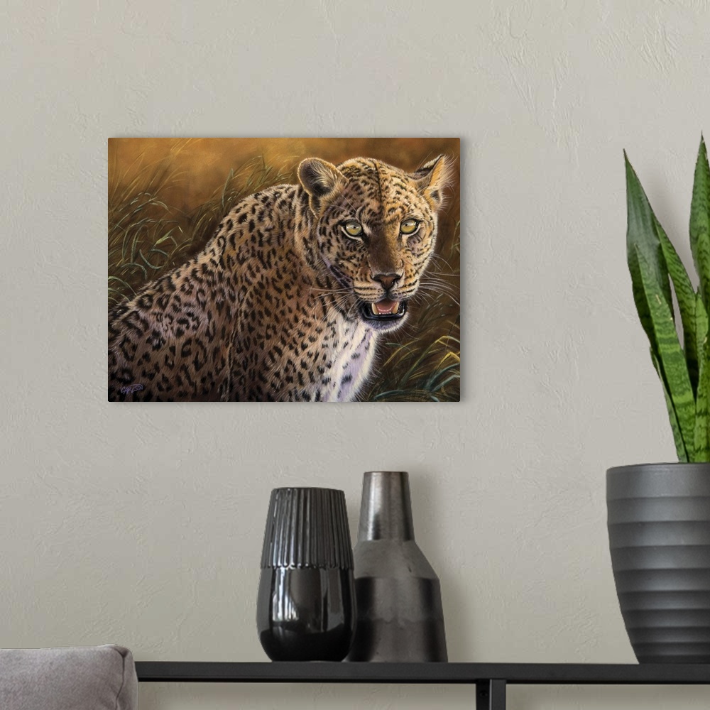 A modern room featuring leopard on the prowl
