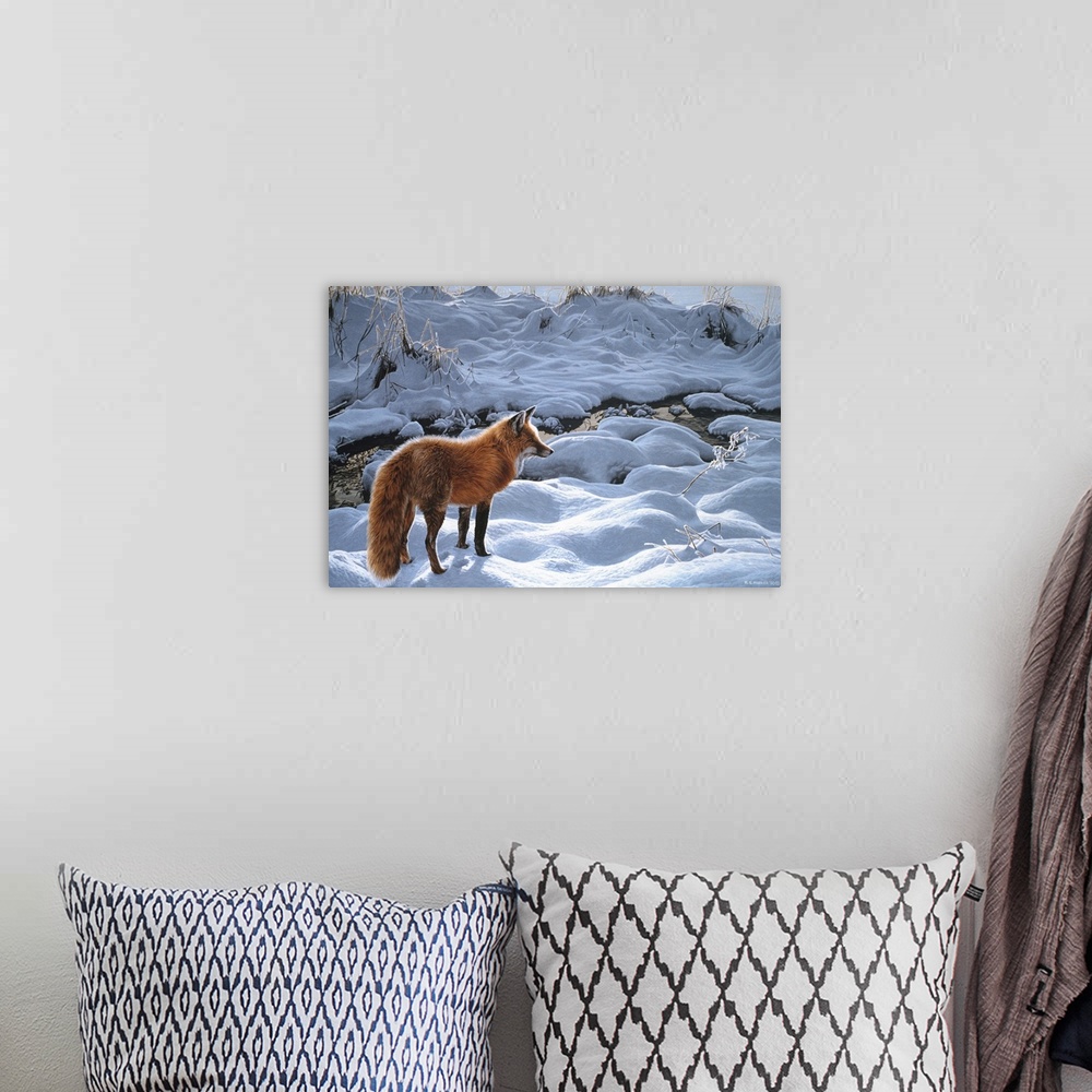 A bohemian room featuring A red fox standing next to a stream in the snow.
