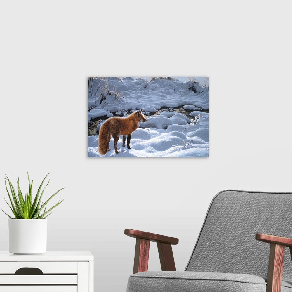 A modern room featuring A red fox standing next to a stream in the snow.