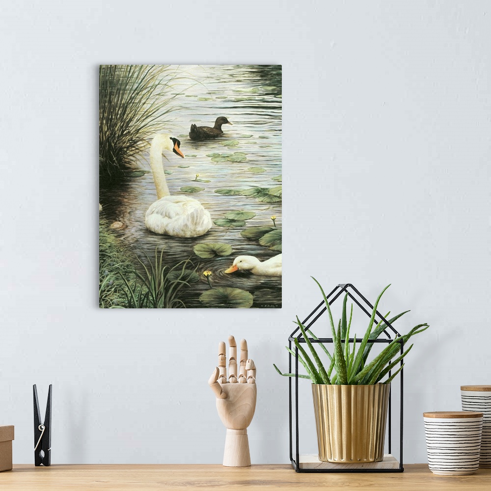 A bohemian room featuring Contemporary artwork of a swan and two ducks in a pond.