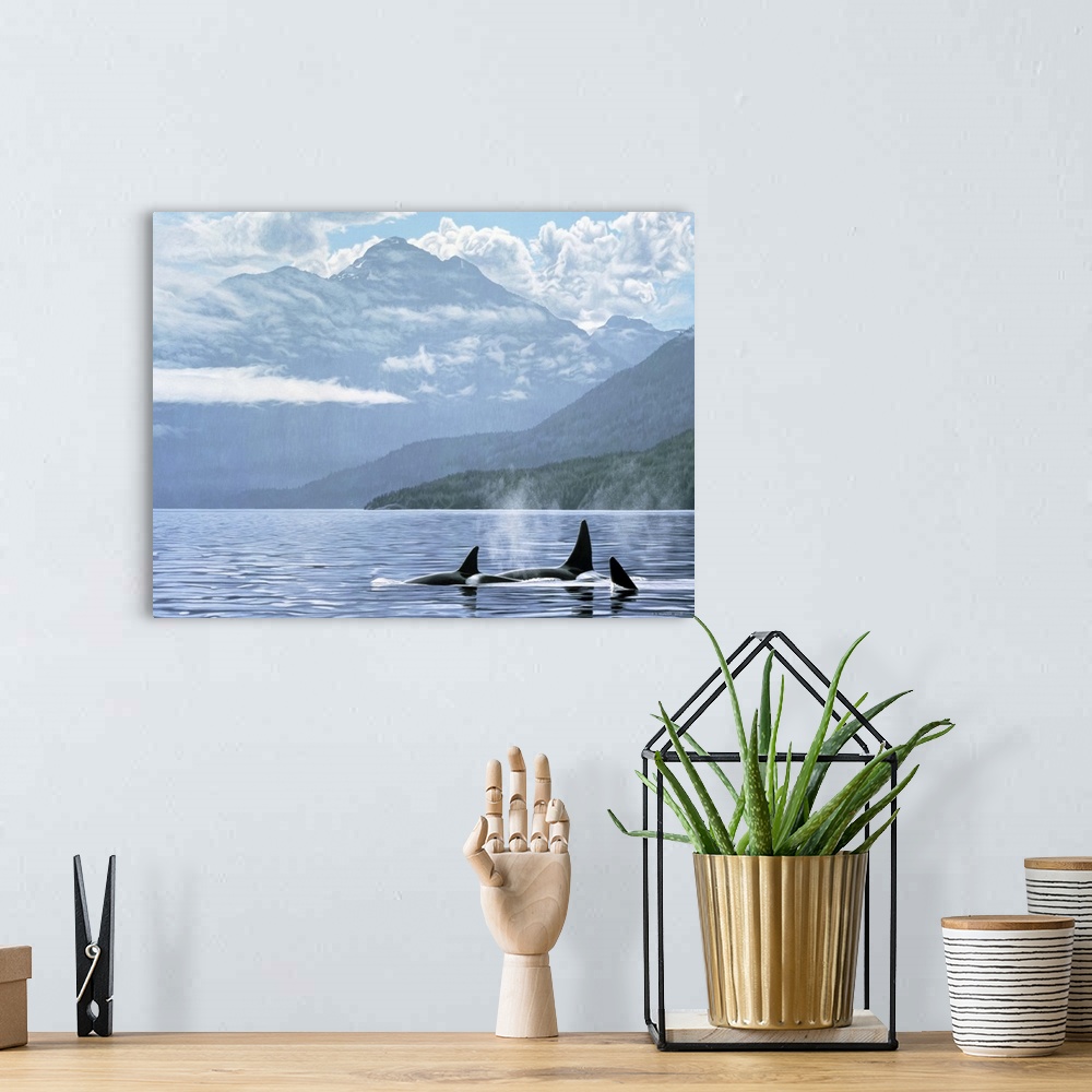 A bohemian room featuring Three orcas travel through the water just off shore.