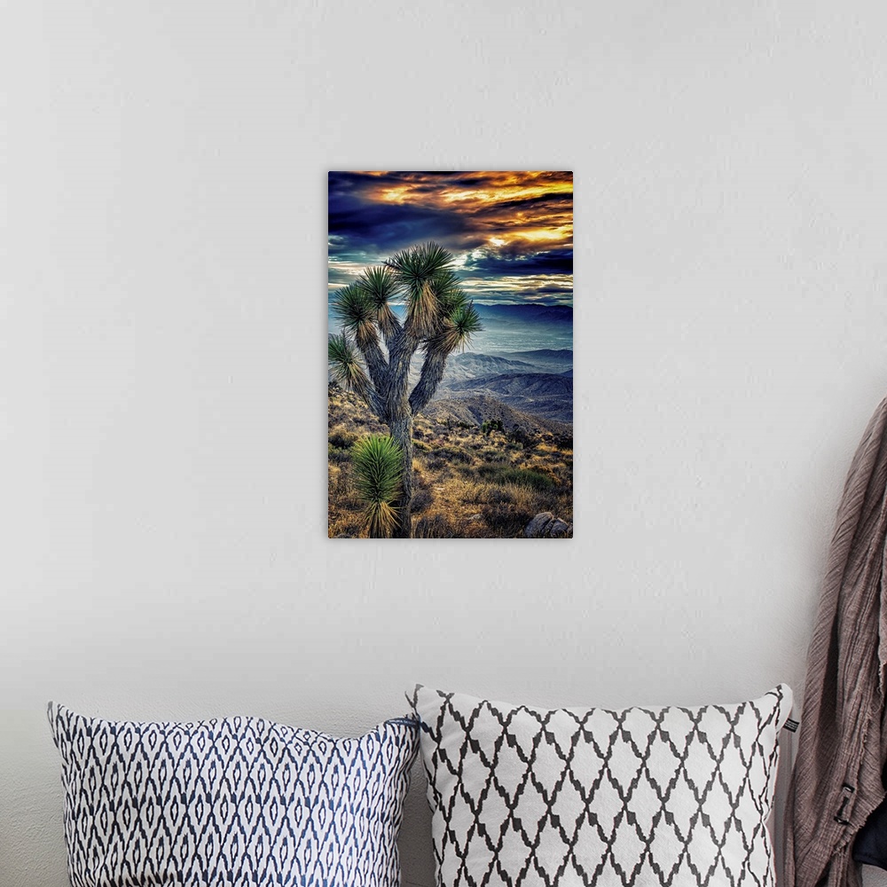 A bohemian room featuring A photograph of a Joshua tree in the Joshua Tree national park.