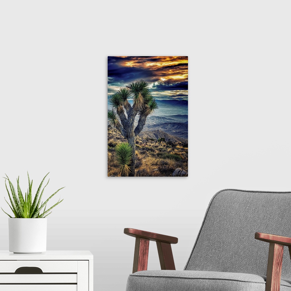 A modern room featuring A photograph of a Joshua tree in the Joshua Tree national park.