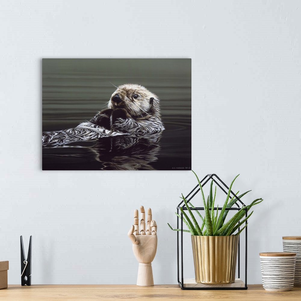 A bohemian room featuring An otter rests on its back, drifting through the water.